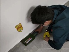 乐山灭白蚁公司