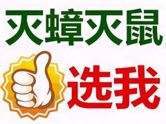 山东晨曦有害生物防治有限公司