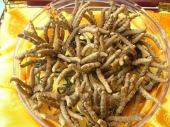 石家庄茅台酒瓶子回收