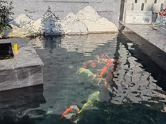 金辰锦鲤林园有限公司