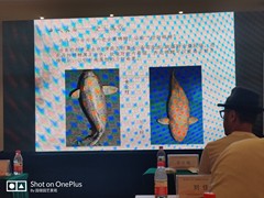 沈阳别墅庭院设计施工