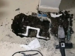 速通立修