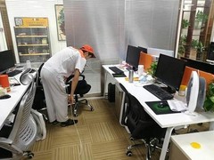 天津专业除甲醛公司