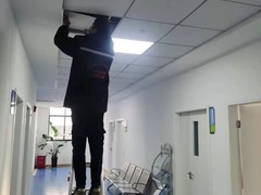 邛崃灭鼠公司-仁寿灭白蚁公司-郫都区灭鼠公司