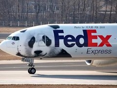 金州DHL