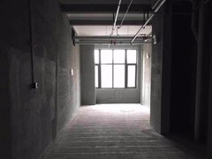 河南大果转租网1