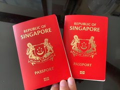 山东新启点出国咨询有限公司