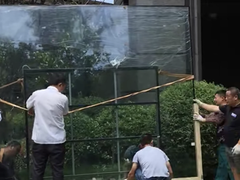 上海大众便捷搬家公司