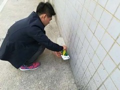 绵阳灭鼠公司