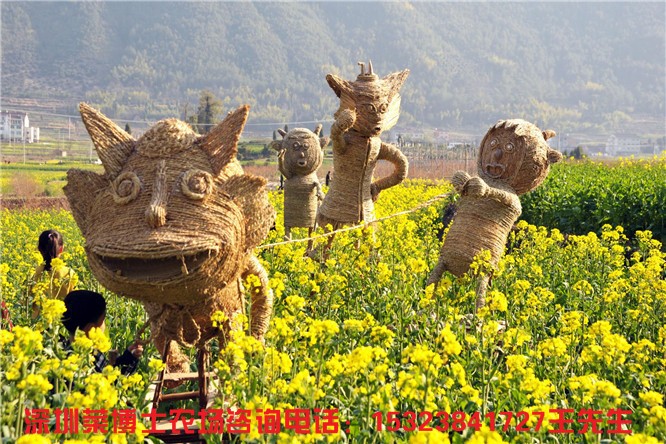 推荐好玩的深圳农家乐首选菜博士农场体验一日游_深圳菜博士农场生态