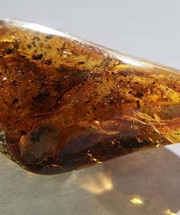 濮阳私人收购汉白玉碟上门回收汉白玉碟