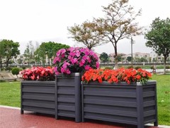 海口滨江鲜花绿植园圃