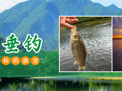 桂林垂钓