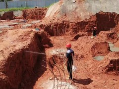 资阳灭鼠公司