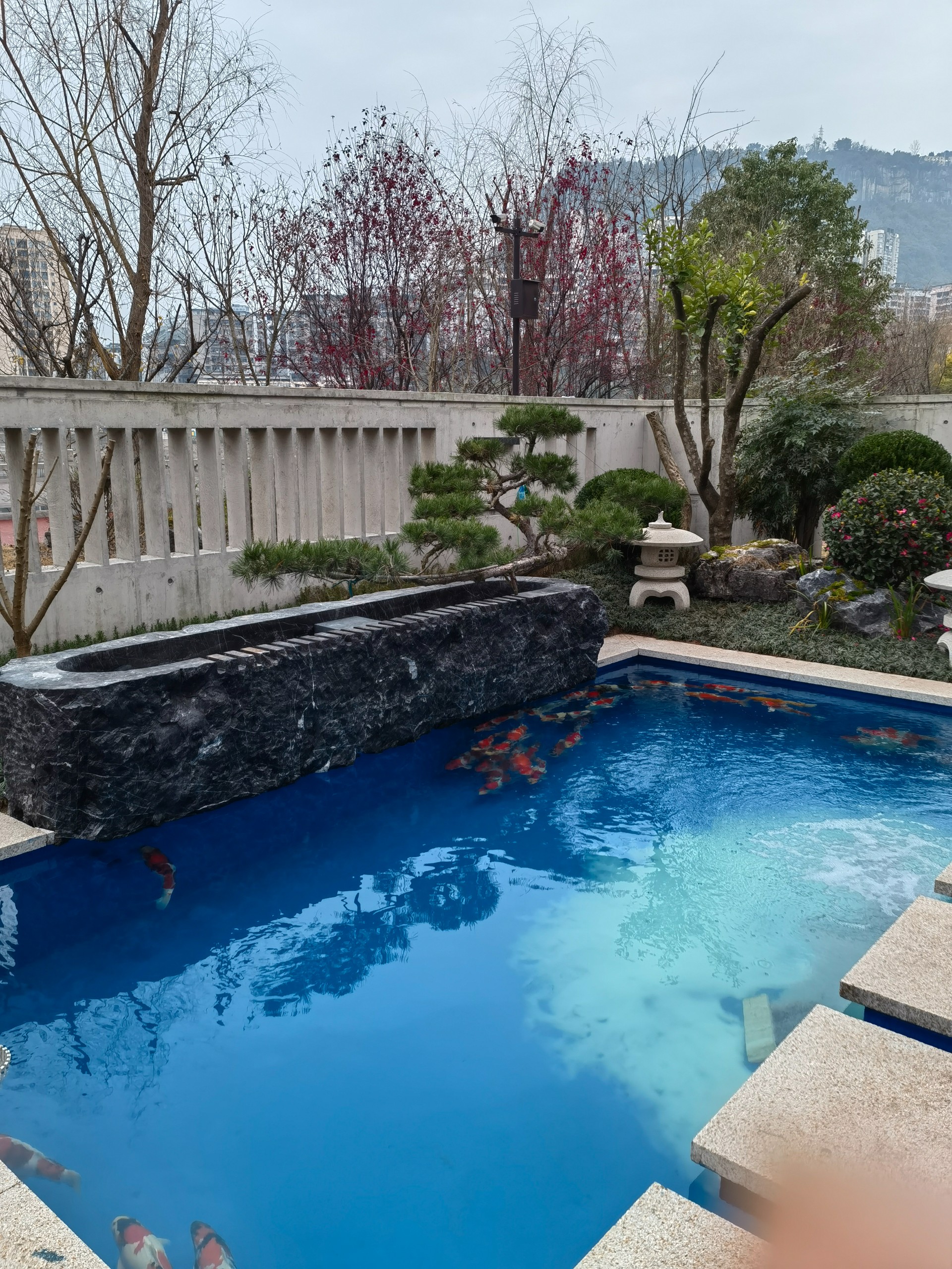 旧鱼池翻新_金辰锦鲤林园有限公司