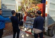 圖片13