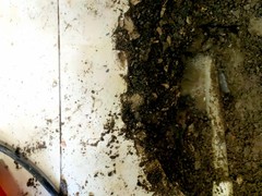 荆州检测精准定位