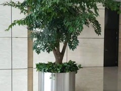 北京唯一物冬虫夏草礼品折扣店