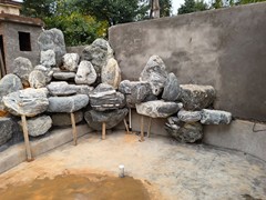 金辰锦鲤林园有限公司