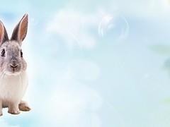 南京碧海水族