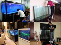 南京碧海水族