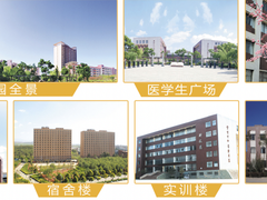 云南招考发布