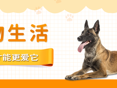 风凌犬业
