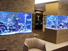 南京碧海水族