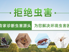 无锡24小时上门灭蟑螂