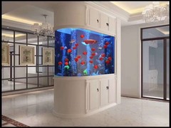 浙江湛龙水族用品有限公司
