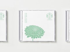 深圳智恩设计
