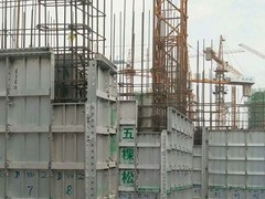 天津建筑劳务（华旗）有限公司