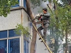 西安园林设计公司