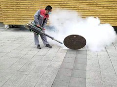 绵阳灭鼠公司
