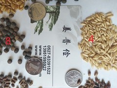东海商行