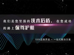 艺之都网络公司