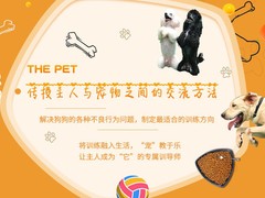 嘉兴训犬学校