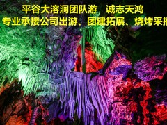 誠志天鴻