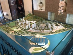 中山坦洲二手房出售