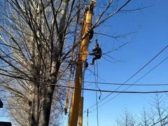 芜湖园林工程公司