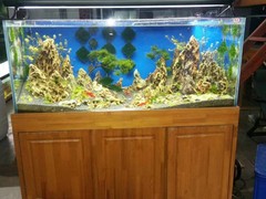 北京鱼缸清洗