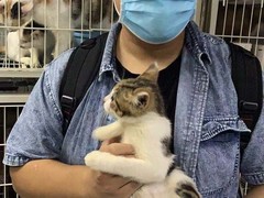 上海市小动物救助领养站