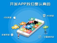 上海系统开发公司