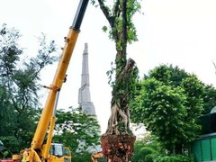 广东省园博景观绿化有限公司