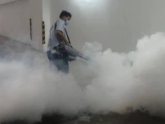 惠州白蚁防治