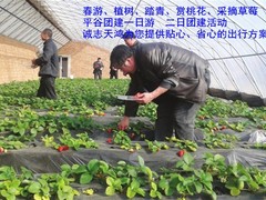 誠志天鴻