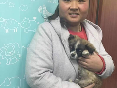 上海市小动物救助领养站
