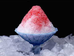上海东琳降温食用大冰块厂
