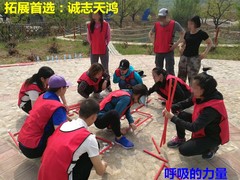 誠志天鴻