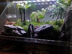 北京魚缸清洗
